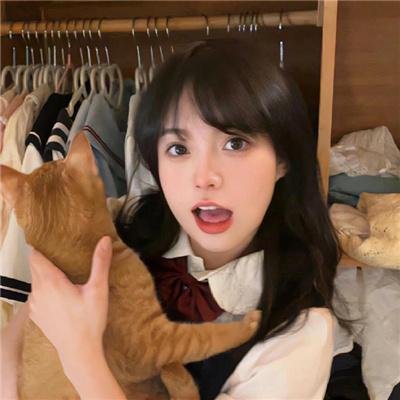 美国派9